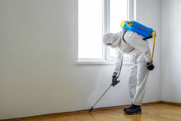 Best Mosquito Control Services  in , VT