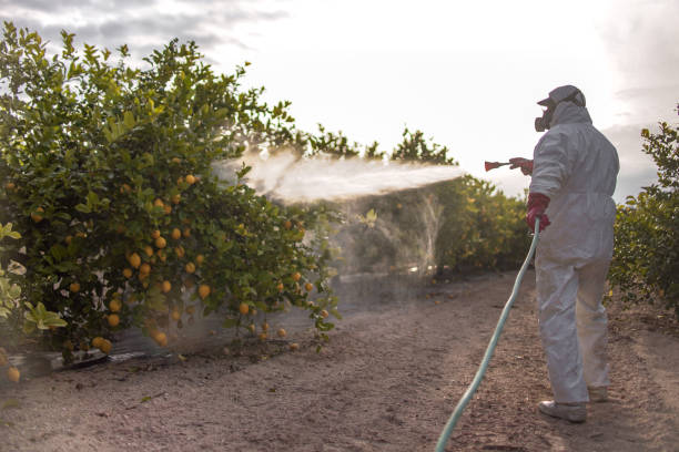 Best Residential Pest Control  in , VT
