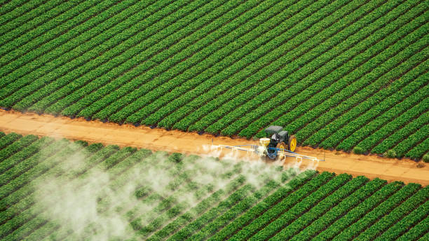 Best Commercial Pest Control Services  in , VT